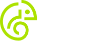 Pingle Studio